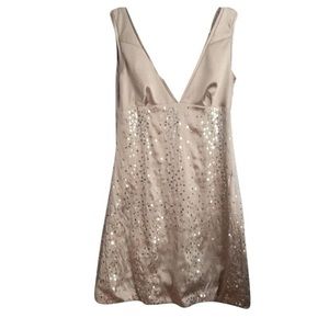 Holiday/NYE Glitter Dress